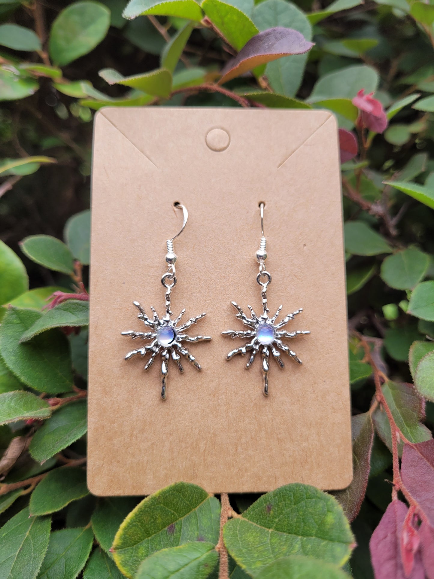 Shining Star Earrings