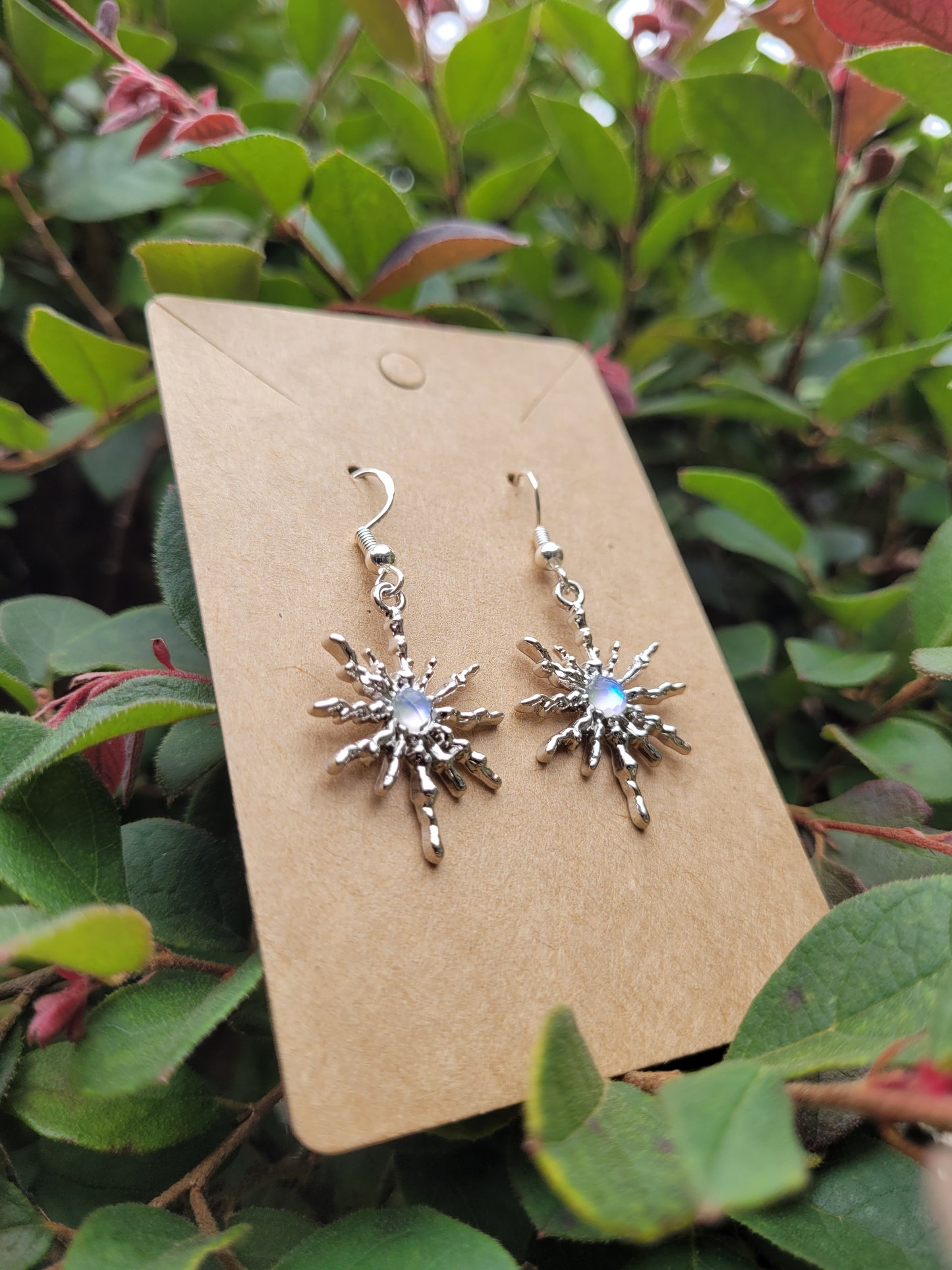 Shining Star Earrings